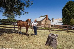 FLEURIEU PENINSULA RESTORATION