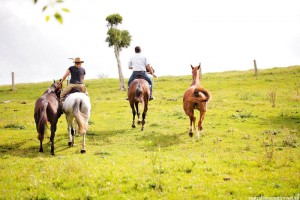 LIFE IN THE QUEENSLAND HORSE SADDLE