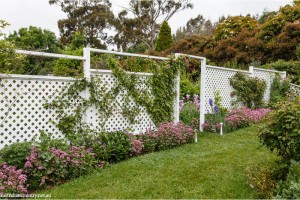 CHINOISERIE GARDENS 1
