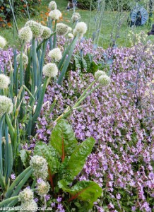 CHINOISERIE GARDENS 11