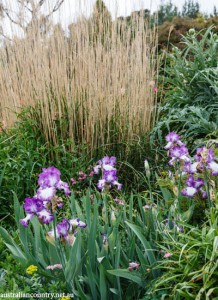 CHINOISERIE GARDENS 2
