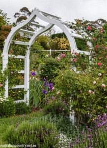 CHINOISERIE GARDENS 3