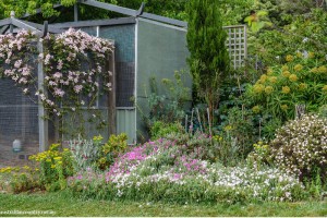 CHINOISERIE GARDENS 4