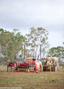 A NEW LIFE FOR ABANDONED IRON BEDS