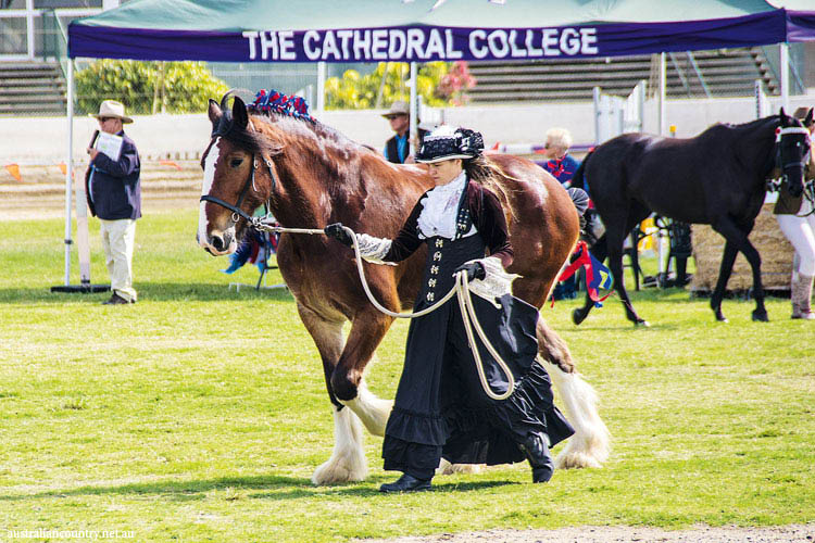 ROCKHAMPTON AGRICULTURAL SHOW