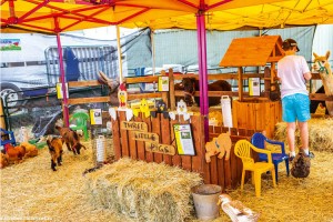 ROCKHAMPTON AGRICULTURAL SHOW