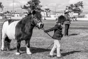ROCKHAMPTON AGRICULTURAL SHOW