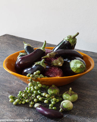 Eggplant recipes 1