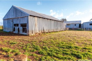 Wheatbelt-Farmers
