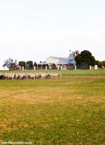 Wheatbelt-Farmers