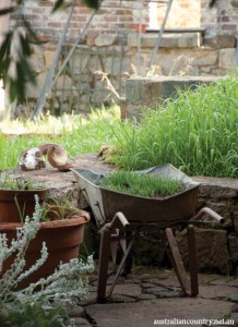 AN AUSSIE GUEST HOUSE 9