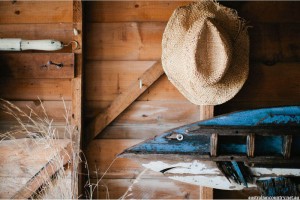 BOATSHEDS OF MELBOURNE 5