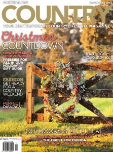 CCS198_cover