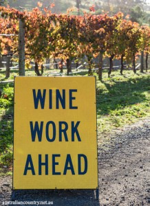 heathcote harvest