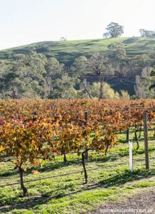 Heathcote 14