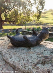 Heathcote 15