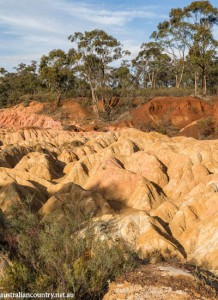 Heathcote 7