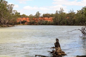 Mildura 13
