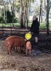 QLD AGRITOURISM 2