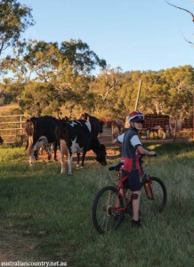QLD AGRITOURISM 4