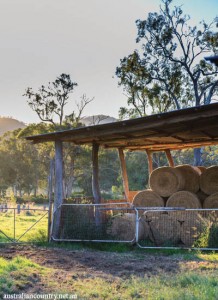 QLD AGRITOURISM 5