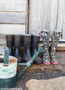 QLD AGRITOURISM 6