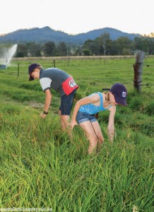 QLD AGRITOURISM 7