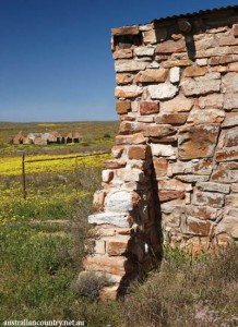 South African farming 12