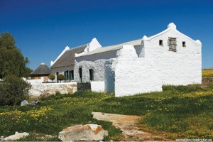 South African farming 13