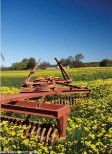 South African farming 4
