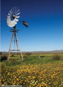 South African farming 5