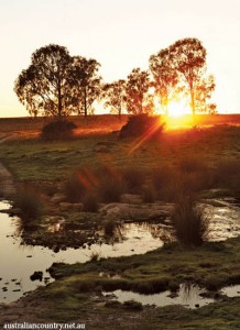 South African farming 6