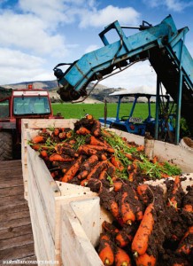 ORGANIC FARMING