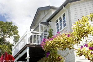 QUEENSLANDER IN THE HILLS