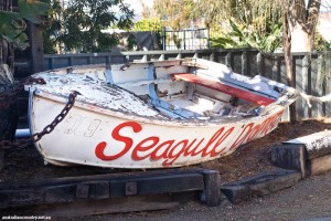 BEACHCOMBER PAINT ON SHOW