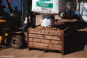 ORGANIC FARMING