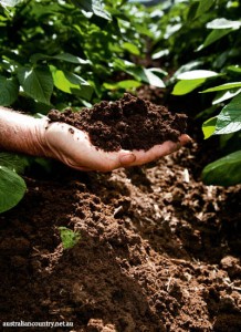 ORGANIC FARMING