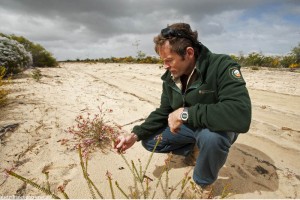 CHASING FLOWERS IN AUSTRALIA 7