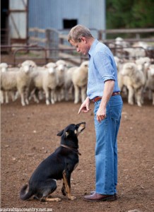 A-SHEEP-FARM-IN-MONARO-HIGH-COUNTRY