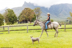 COWGIRL-LIFE-ON-THE-FARM