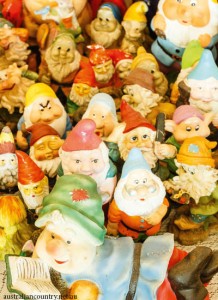 Gnomes