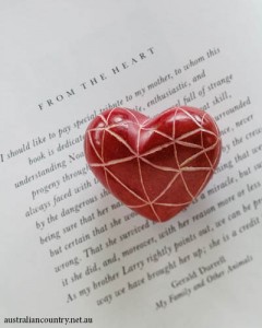 A-MESSAGE-FROM-THE-HEART