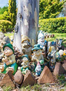 Gnomes