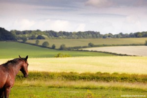 A-PLACE-IN-THE-UK-COUNTRY