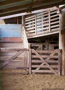A-SHEEP-FARM-IN-MONARO-HIGH-COUNTRY
