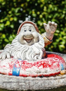 Gnomes