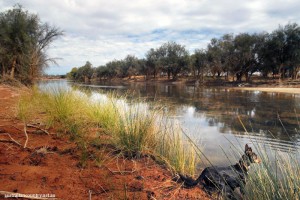 WESTERN-AUSTRALIA-WOOLEEN-STATION