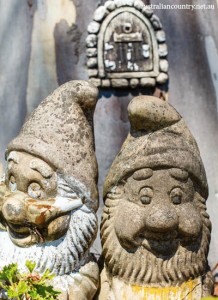 Gnomes