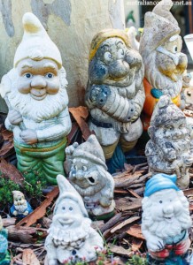 Gnomes