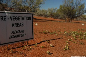 WESTERN-AUSTRALIA-WOOLEEN-STATION